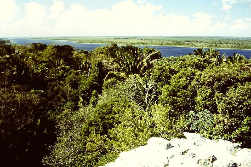 Lamanai Lagoon Boat Tour