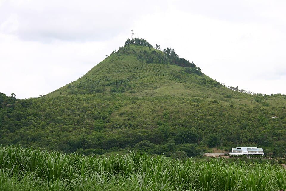 Peak Of The Peak Honey