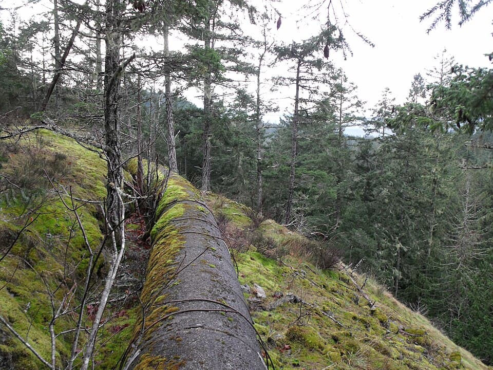 Goldstream Provincial Park Lookout