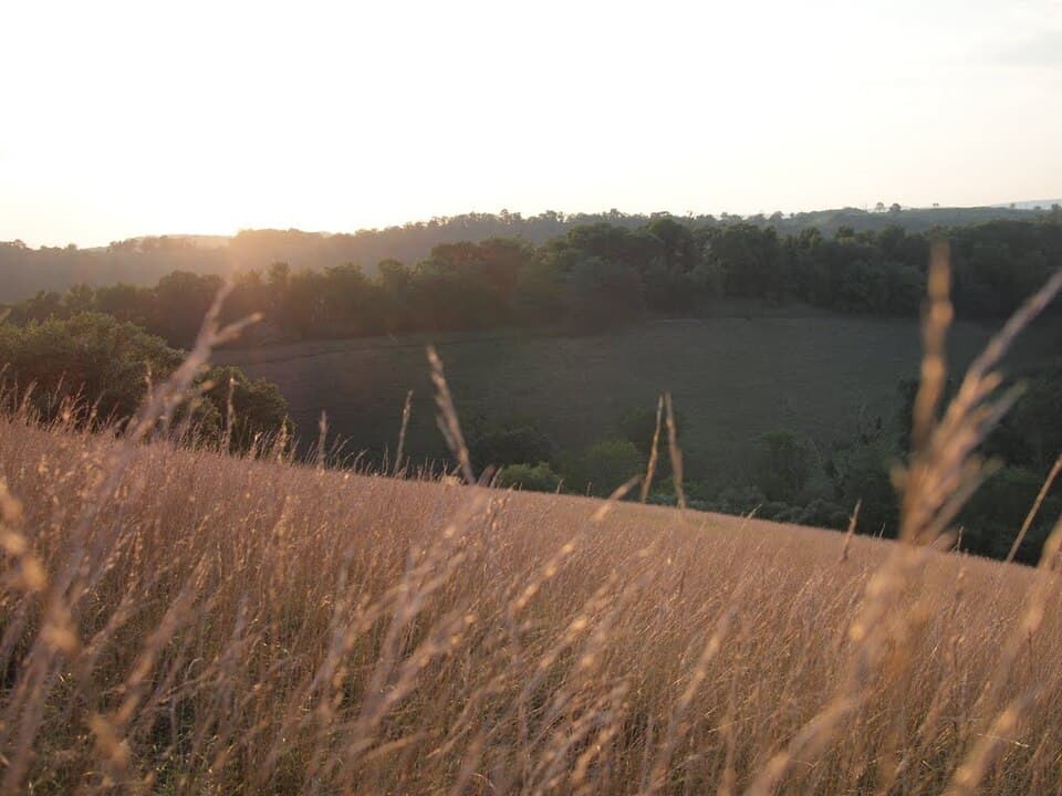 Honey Creek Nature Trail