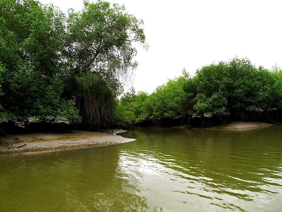 Manglares-Churute Ecological Reserve