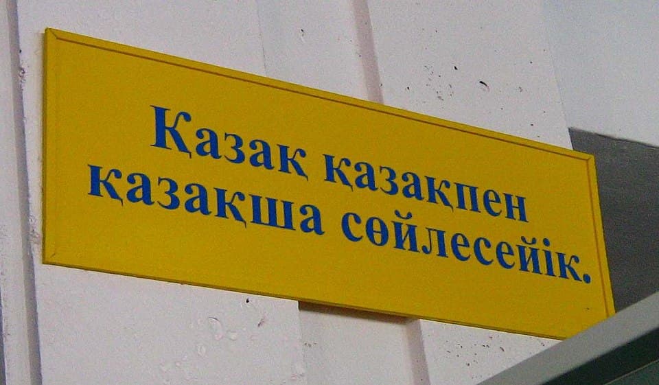 Local phrasebook or translation app