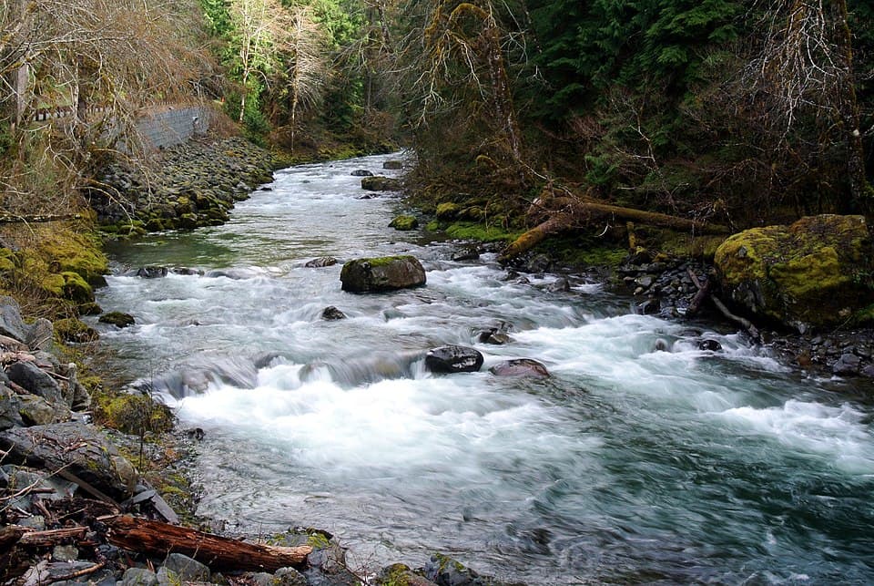 Sol Duc Hot Springs Resort