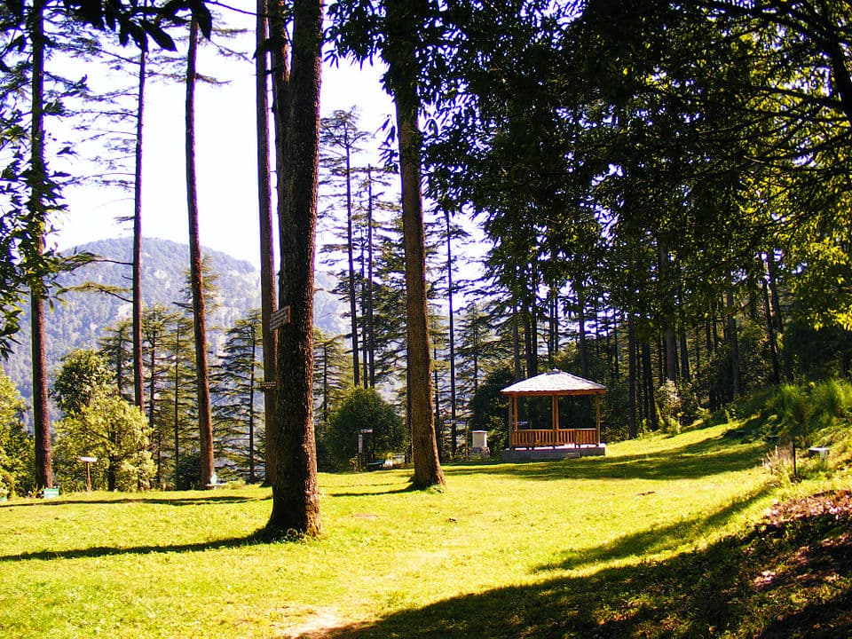 Dhanaulti Adventure Park