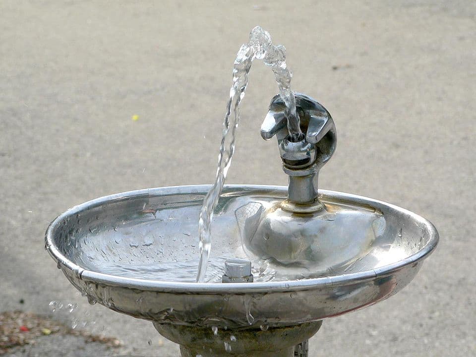 Reusable Water Bottle