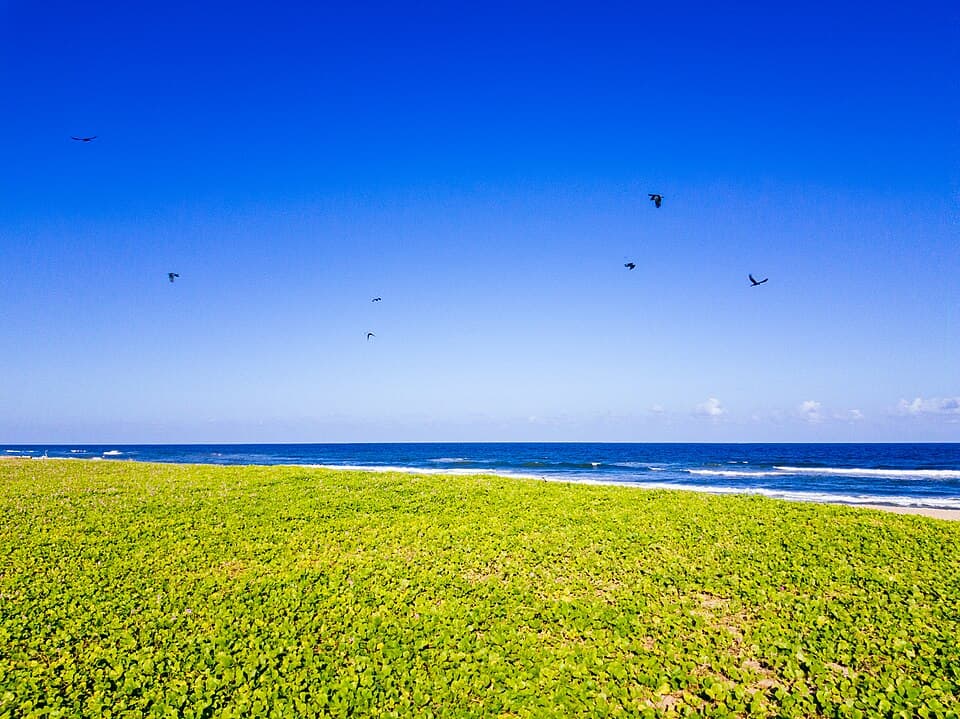 Covelong Beach