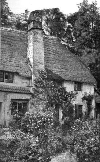 The Daffodil Restaurant