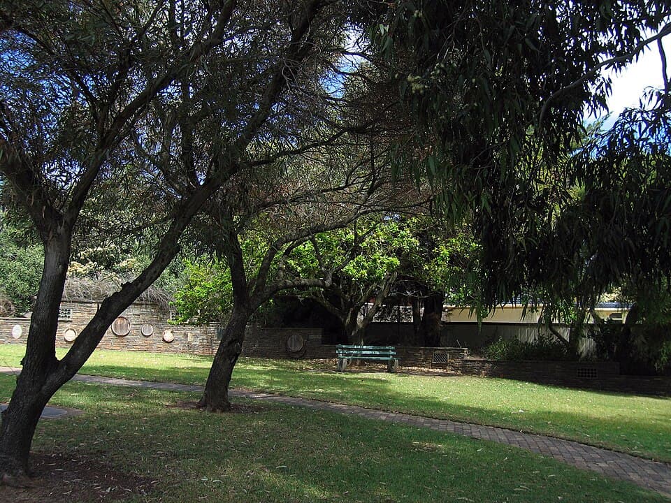 Magill Estate Cellar Door