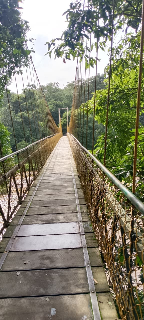 Nisargadhama Forest