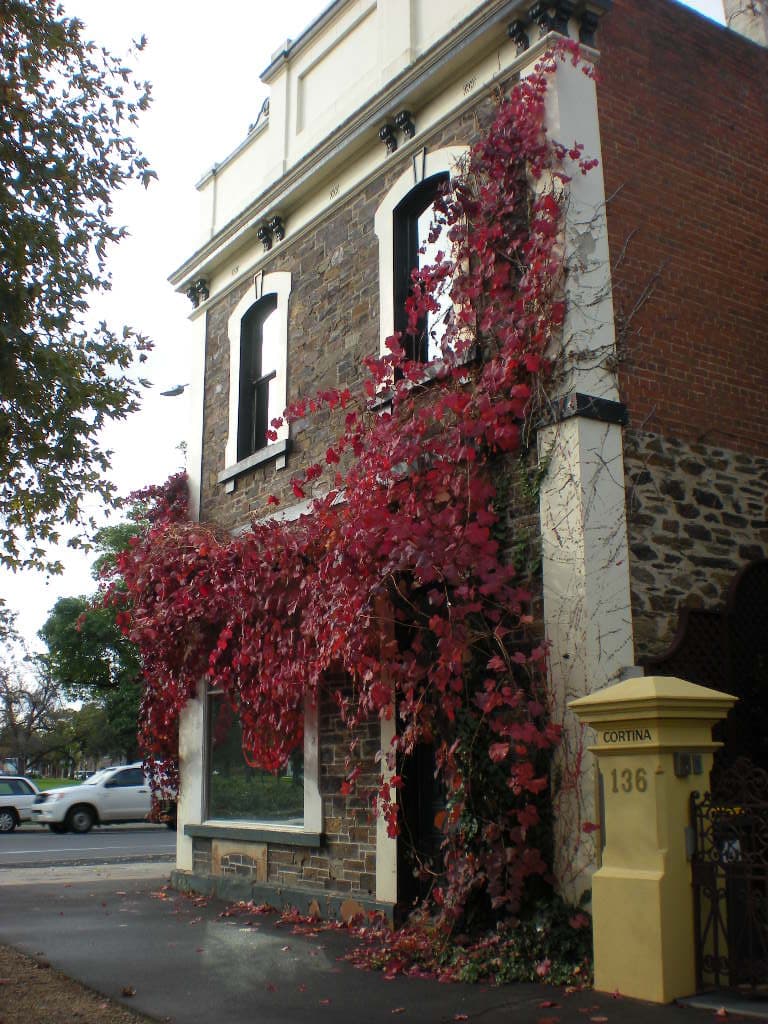 Jacob's Creek Wine