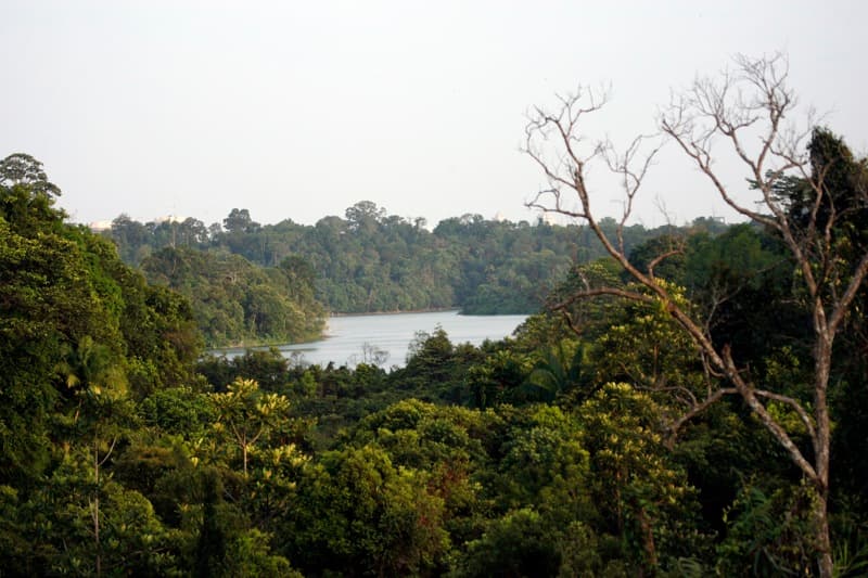 Sungei Buloh Wetland Reserve Visitor Centre