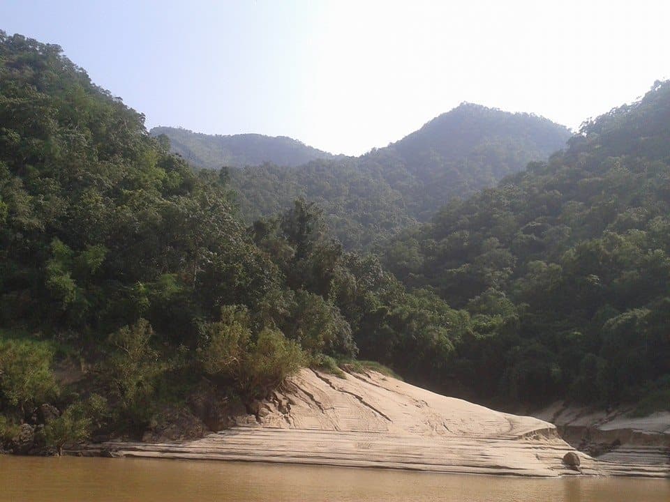 Papi Hills