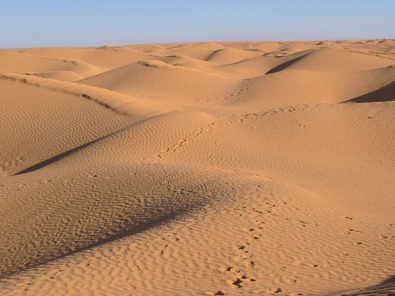 Sahara Dunes