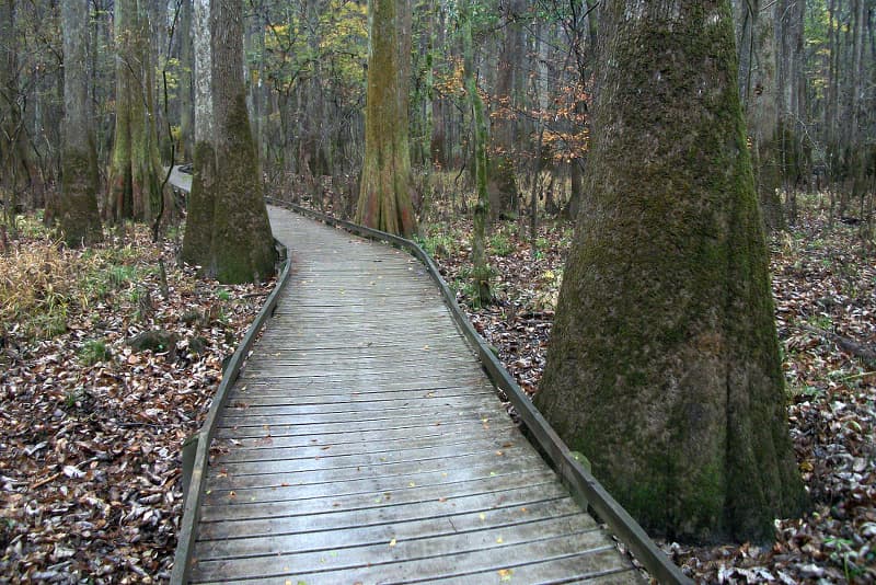 J. Strom Thurmond Lake Visitor Center
