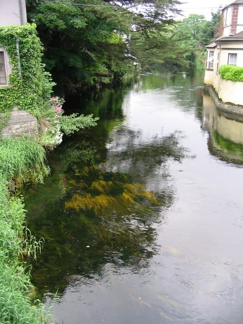 Lough Sheelin
