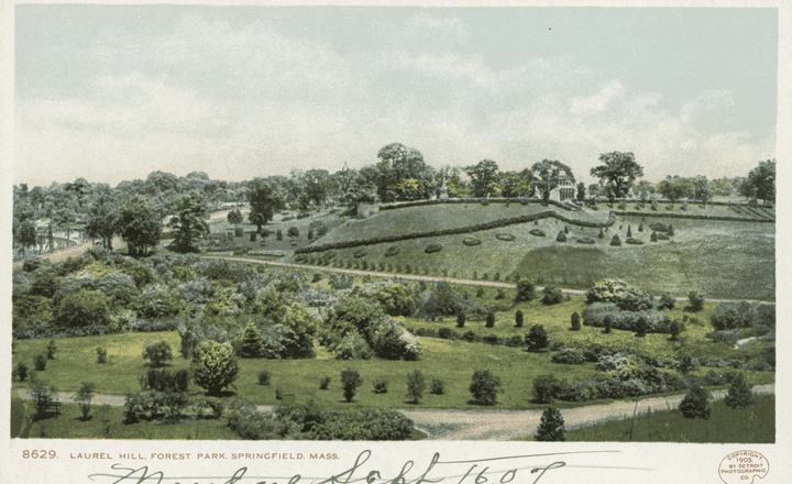 Springfield Park