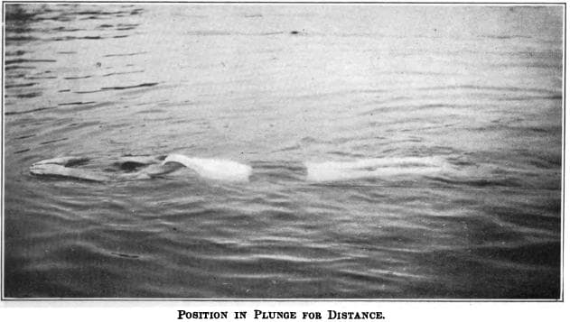 Plunge Aquatic Center