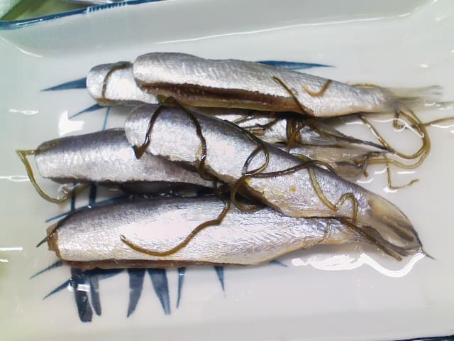 Appalachian Trout