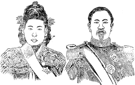 Ginseng Tea