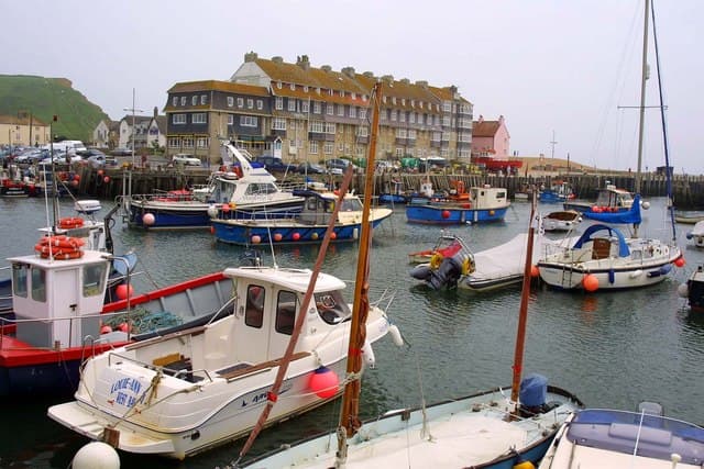 The Fish House