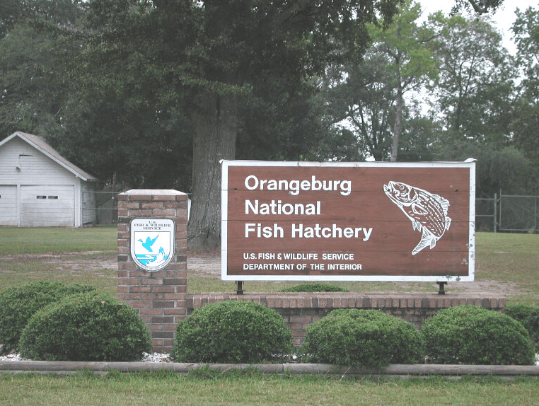 Congaree National Park
