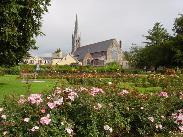 Tralee Bay Wetlands