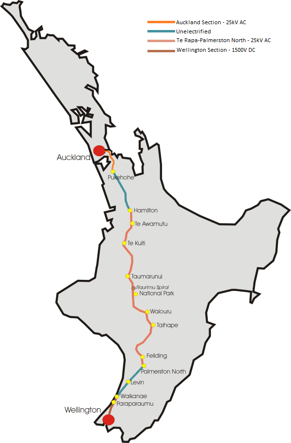 Wairarapa Olive Oil
