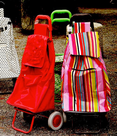 Reusable Shopping Bag