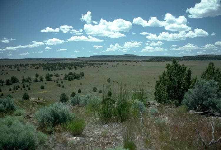 High Desert Museum