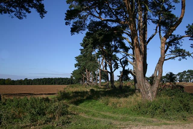 The Ickworth Arms