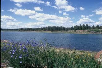 Fool Hollow Lake Recreation Area